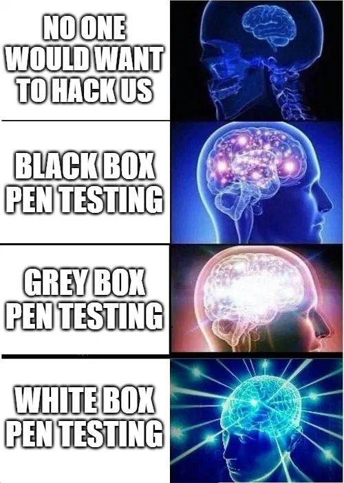 Expanding brain meme: “No one would want to hack us”, then black box, grey box and white box pen testing, each beside a brighter brain.