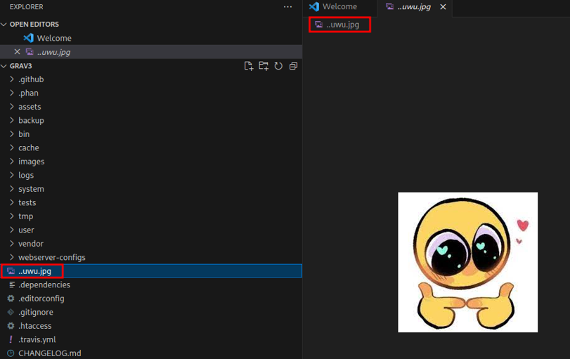 VS Code’s explorer of the Grav installation, with a file named ..uwu.jpg, highlighted, at its root; opened, it shows a cartoon emoji.