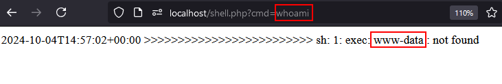 Command execution in web shell